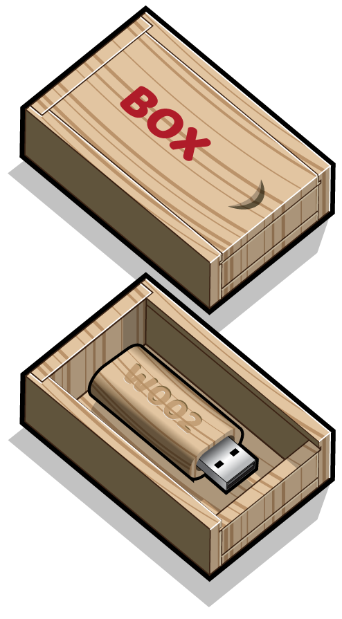 Printed Wooden USB Box Printed Wooden USB Box