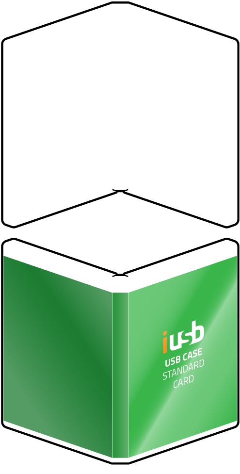 USB-case-standard-card USB-case-standard-card