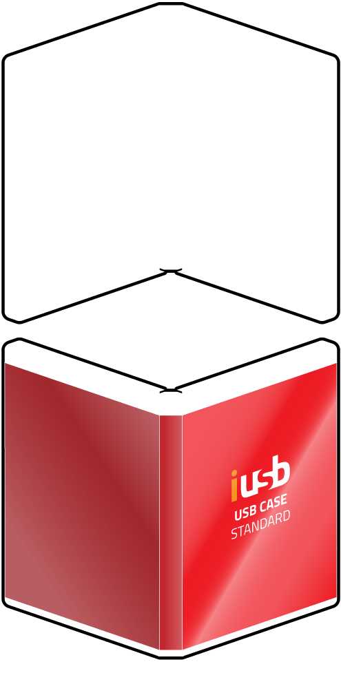 packaging-USB-case-standard packaging-USB-case-standard