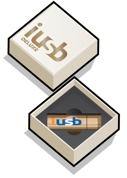 USB printed foiled deluxe box USB printed foiled deluxe box